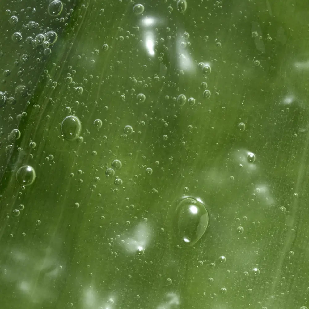 Soothing Intimate Wash with Aloe Vera