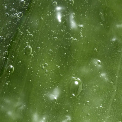 Soothing Intimate Wash with Aloe Vera